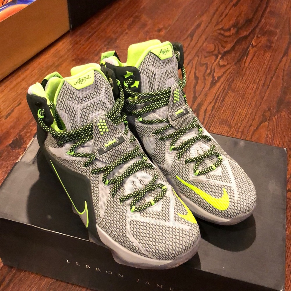 Nike Lebron twelves dunk force